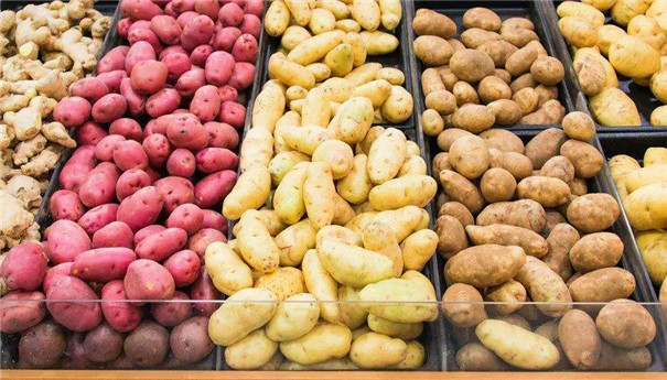 淀粉加工原料 淀粉加工原料