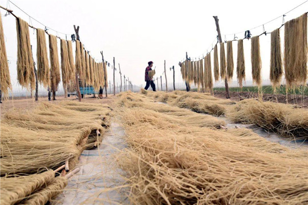 粉條機制作的粉條粉絲與手工制作究竟有哪些區別？從3個角度分析