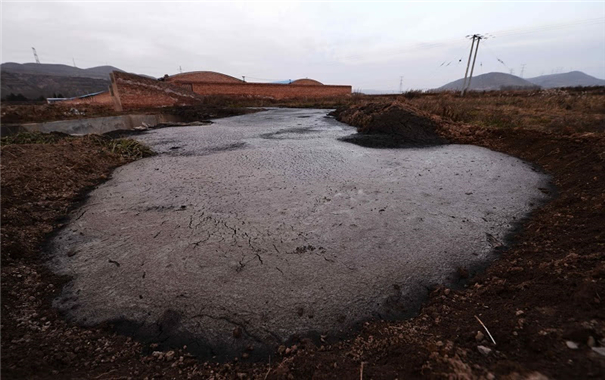 淀粉加工污染問題